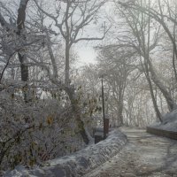 Туманное утро....... :: Юрий Цыплятников