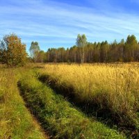 ... :: Вячеслав Минаев