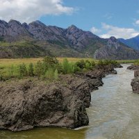 Каменные берега Катуни :: елена беликова