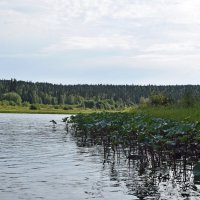 Берег левый... :: ВикТор Быстров