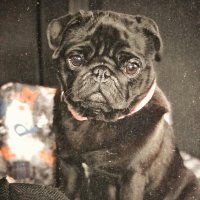 Пупс :: Андрей C