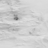 Снег I :: Сергей Матвеенко