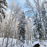 зимний пейзаж :: Владимир