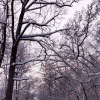 *** :: Валентина Береснева