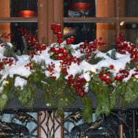 Новогодняя Москва. Путешествие в Рождество 2026. :: Наташа *****