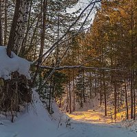 Гуляет солнышко по склону :: Владимир Кириченко