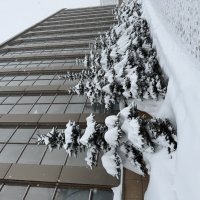 Зима в городе :: Pippa 