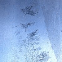 Мороз рисует на стекле.. :: Светлана 