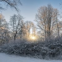 Январь :: Владимир Колесников