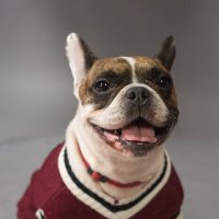 Ну что вы на меня смотрите?! :: Екатерина Василькова