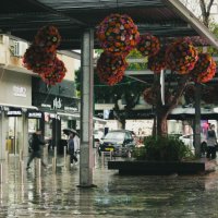 Дождь. :: Argaman Табашник