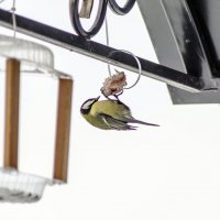 Вкусняшка :: Андрей Щетинин