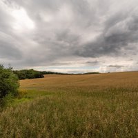 Земля и небо... :: Николай Гирш