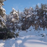 После снегопада. :: Николай 