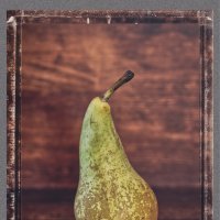 Груша :: Jakob Dick