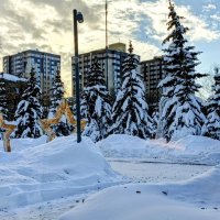 Снежный январь :: Михаил Столяров