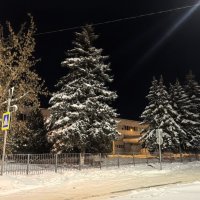 ***Ели в снежных шубках*** :: Olga Oskolkova