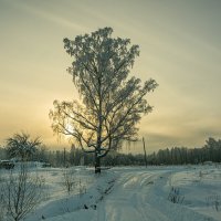 Морозная Серафимовка :: Александр Филатов