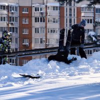 С головой в сугроб. :: Татьяна Помогалова С головой в сугроб. :: Татьяна Помогалова