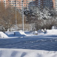 С последним месяцем зимы! :: Татьяна Помогалова