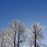 После сильного мороза :: Игорь Сычёв