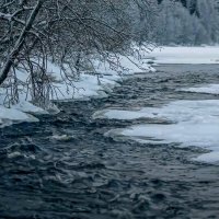 Зимняя тайга :: Aleksey Afonin