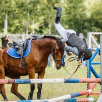 Конкур закидка :: SanSan 