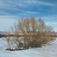 Talgar.  Ak  Bulak. :: Murat Bukaev 