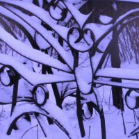 Украсил снег решётку :: Людмила Смородинская Украсил снег решётку :: Людмила Смородинская