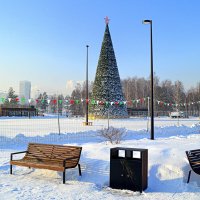 Каток в парке Арена :: Татьяна Лютаева