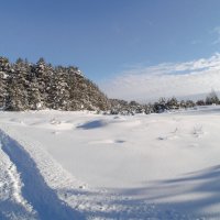 Через поле. :: Николай 