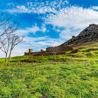 *** :: Дмитрий Лупандин