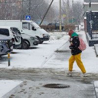 Непогода... :: Николай Саржанов