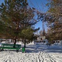 В морозный зимний день :: Мариша 