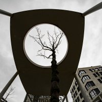 Городские Джунгли :: Николай Нестеренко