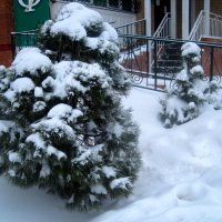 Снежной зимой :: Елена Семигина