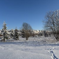 Зимний пейзаж :: Ольга Савельева 