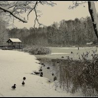 *** :: Aleksandr Gal