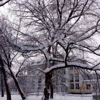 *** :: Валентина Береснева