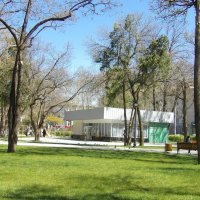 В воздухе  пахнет весной..... :: Валентин Семчишин