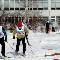 лыжные гонки :: Владимир 