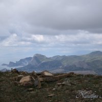 Природа Крыма :: Amazing Cosmea