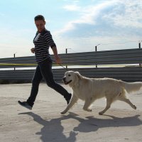 когда рядом верный друг, земли можно не касаться. :: Ольга Косачова