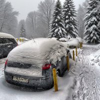 Зимняя фантазия... :: Юрий Яньков