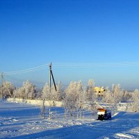 ЯМАЛ :: Tata Wolf