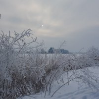 морозный день :: Геннадий Порохов
