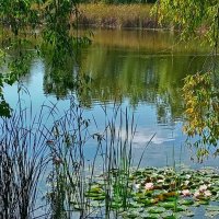 Летний денёк! :: Надежда Летний денёк! :: Надежда