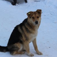 в парке :: Венера Чуйкова