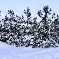 «Ах, как прекрасна эта ЗИМА..!»’26г. :: Арина Невская