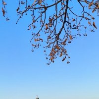 Морозный день в Выборге. :: Ольга 